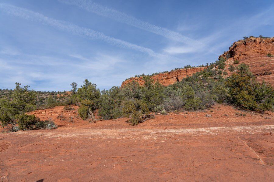 Flat open rock face red sandstone juniper trees and blue sky