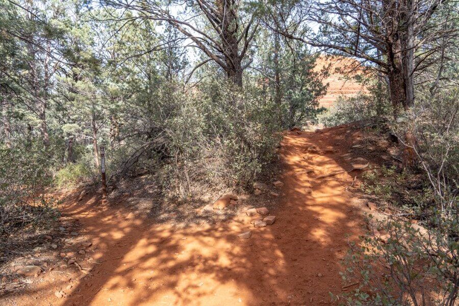 Split in hiking path forking left and right inside light forest