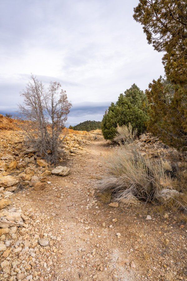 A hiking trail at travertine hot springs