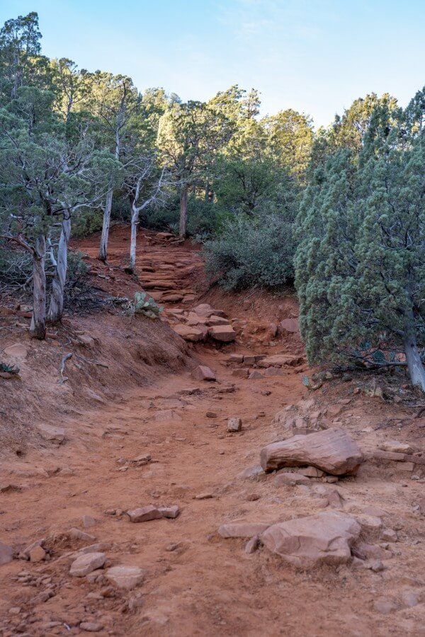 Hiking path in arizona after sunrise dirt track and loose stones with trees lining route