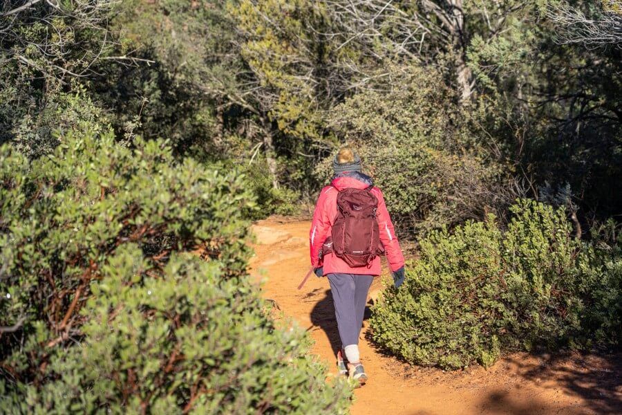 Hiker in winter coat walking through green vegetation on a sunny day