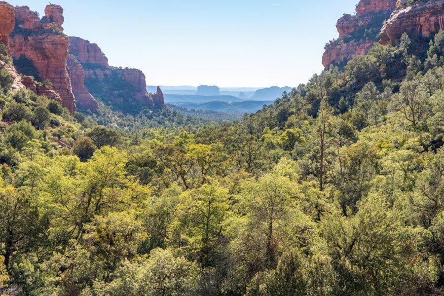 Stunning views over Fay Canyon from west ascent at the end of Fay Canyon Trail trees vegetation and red rocks to either side