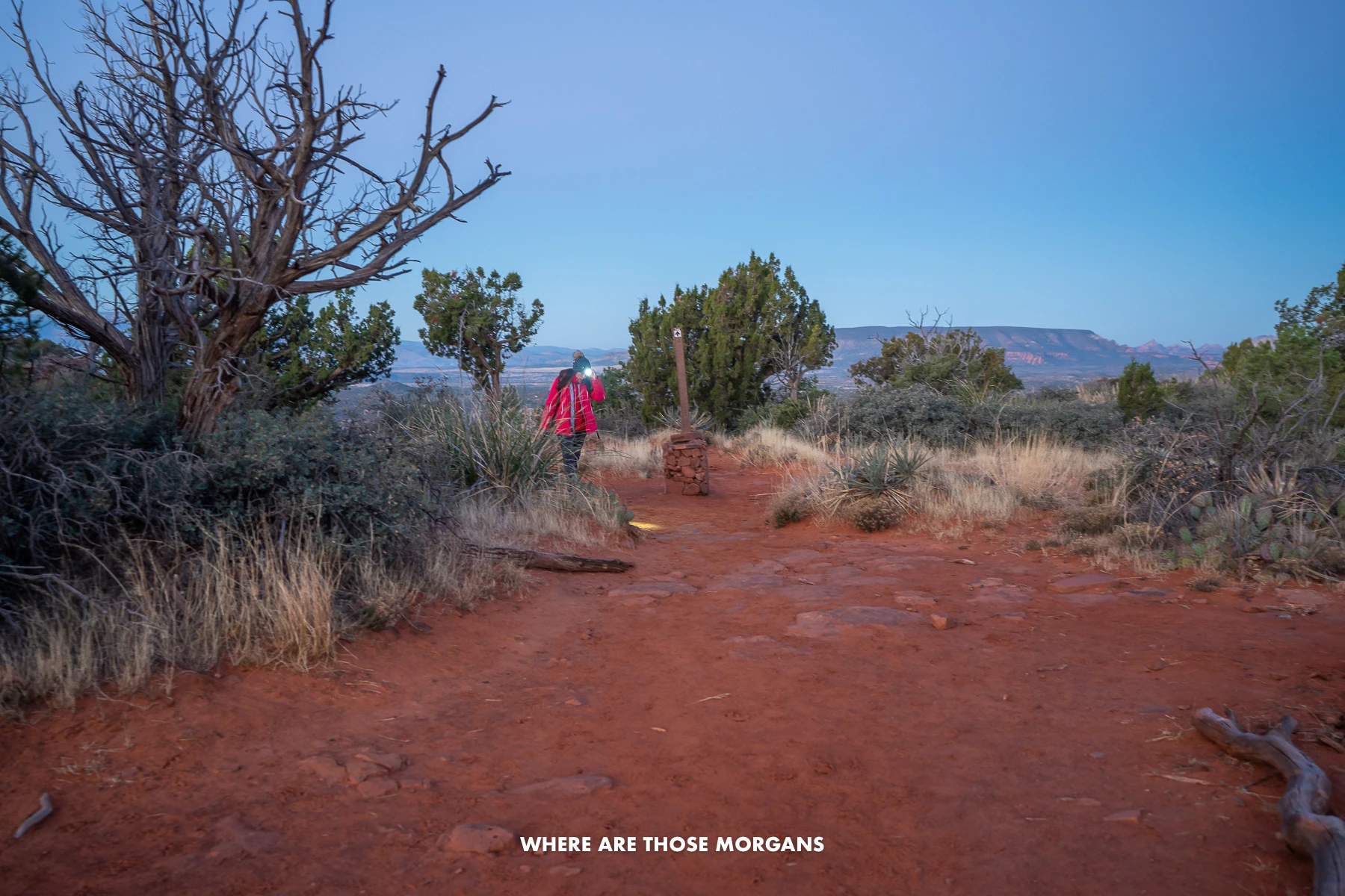 Photo of Kristen from Where Are Those Morgans walking on a flat dirt path with a headlamp at dawn on the Doe Mountain hike in Sedona