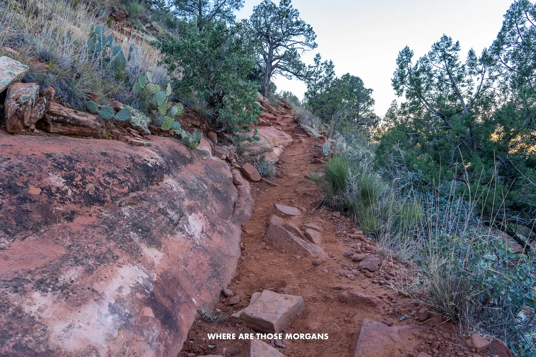 Photo of a narrow rocky path on the side of a red rock cliff with desert vegetation