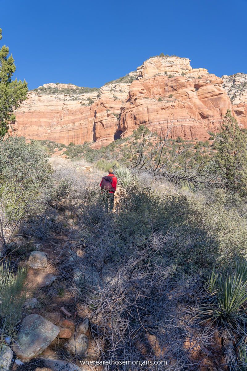Hiker walking up a steep bank filled with rough desert vegetation to a red rock formation on a clear day