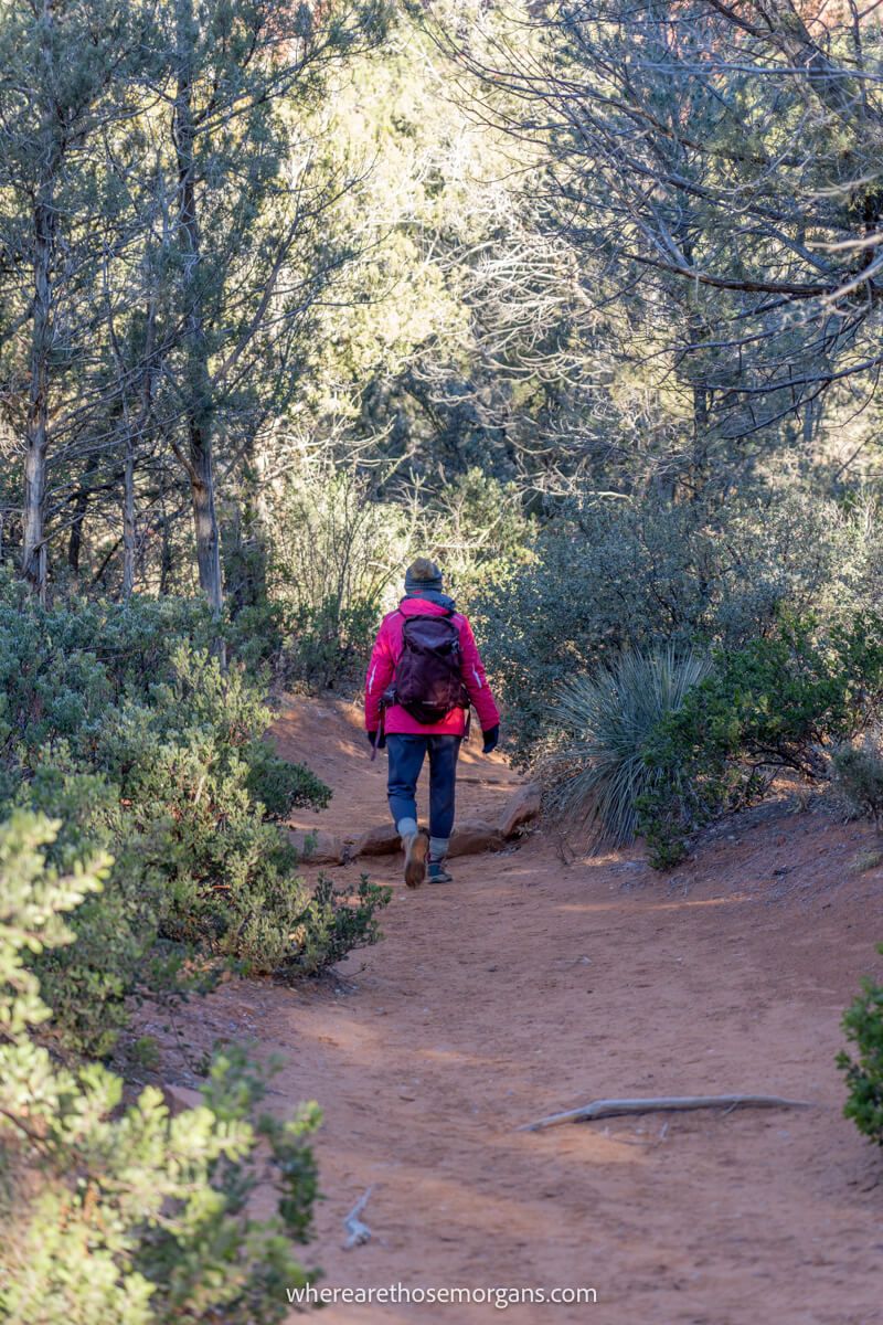 Hiker in pink coat walking a narrow dirt trail surrounded by trees