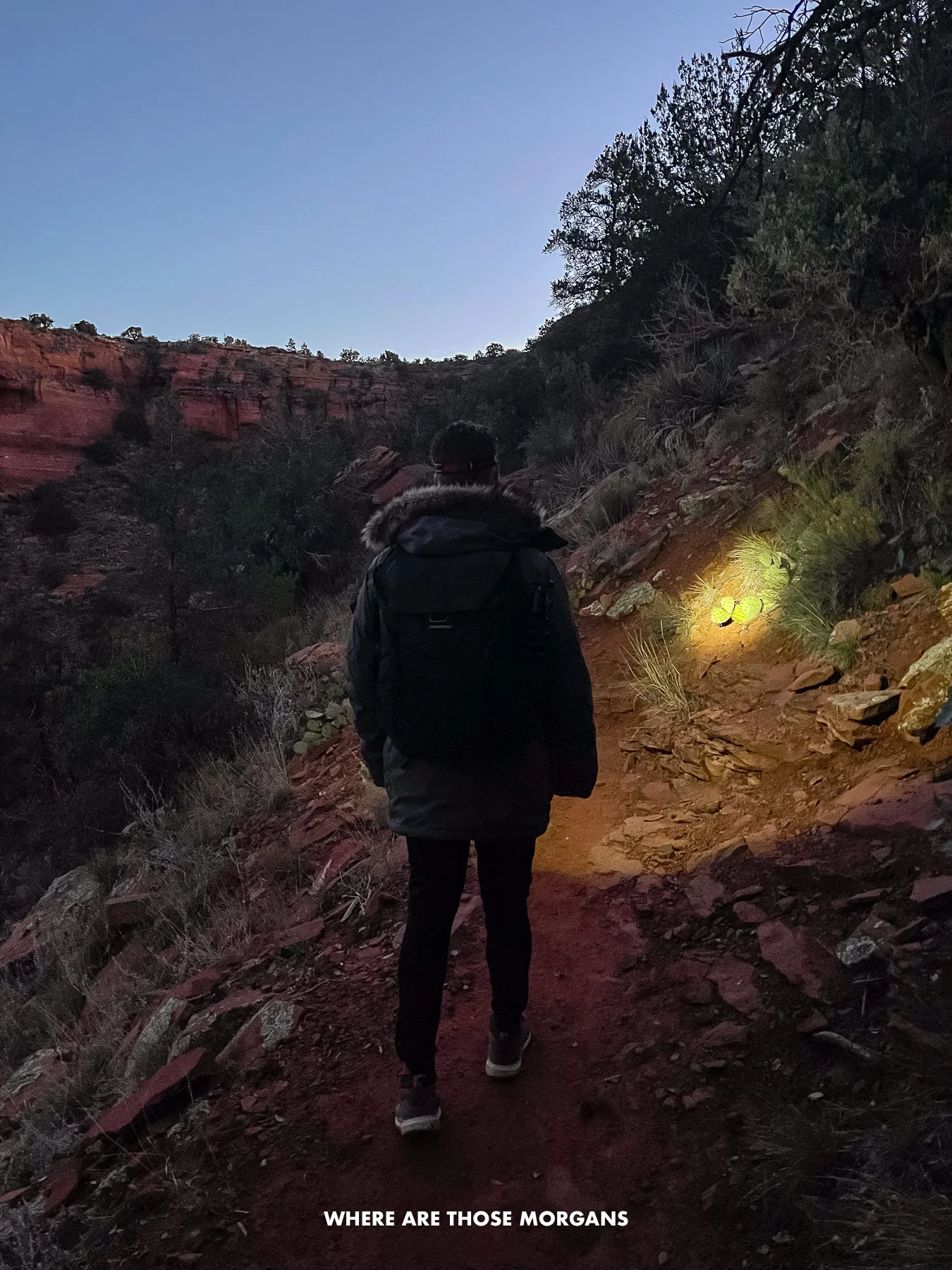 Photo of Mark from Where Are Those Morgans hiking up a trail in a winter coat with a headlamp on to light the path