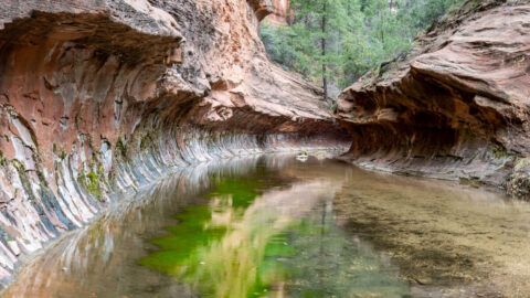 Complete Guide To Hiking West Fork Trail In Sedona AZ
