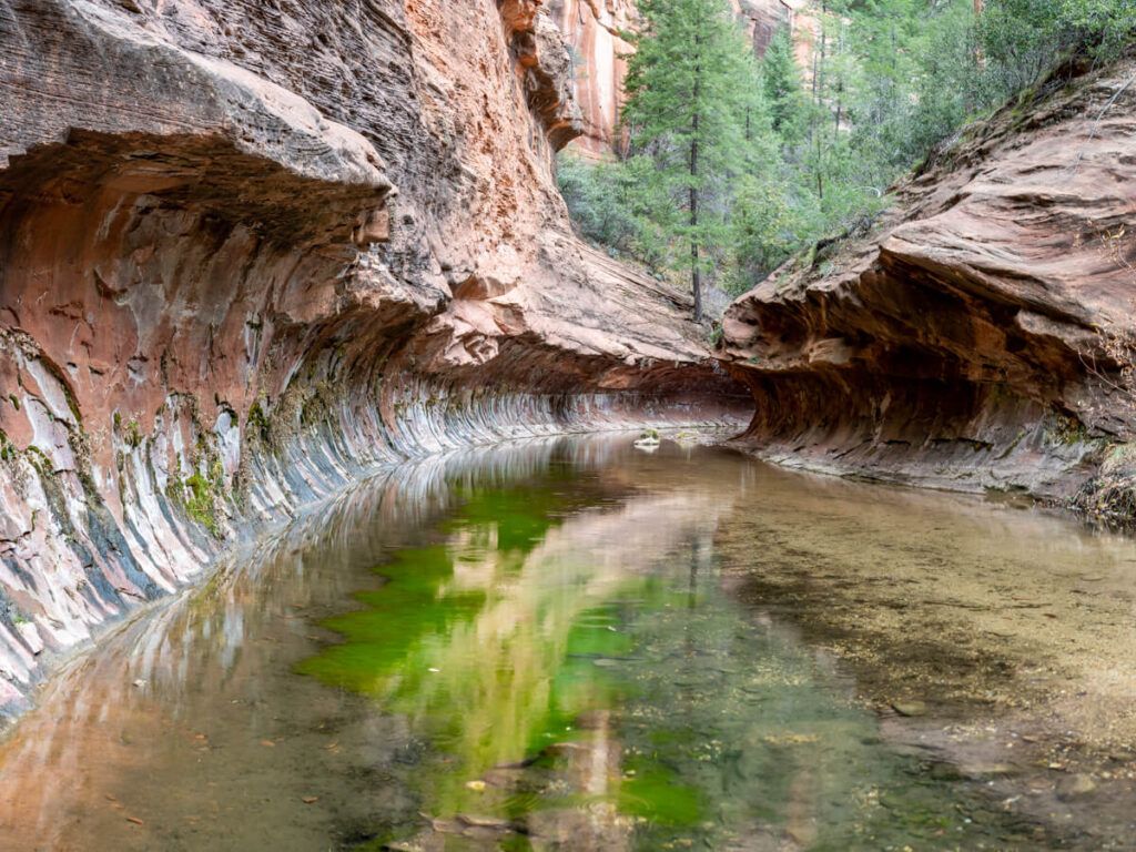 Subway rock formation with shallow river at the end of West Fork of Oak Creek hike trail in Sedona Arizona