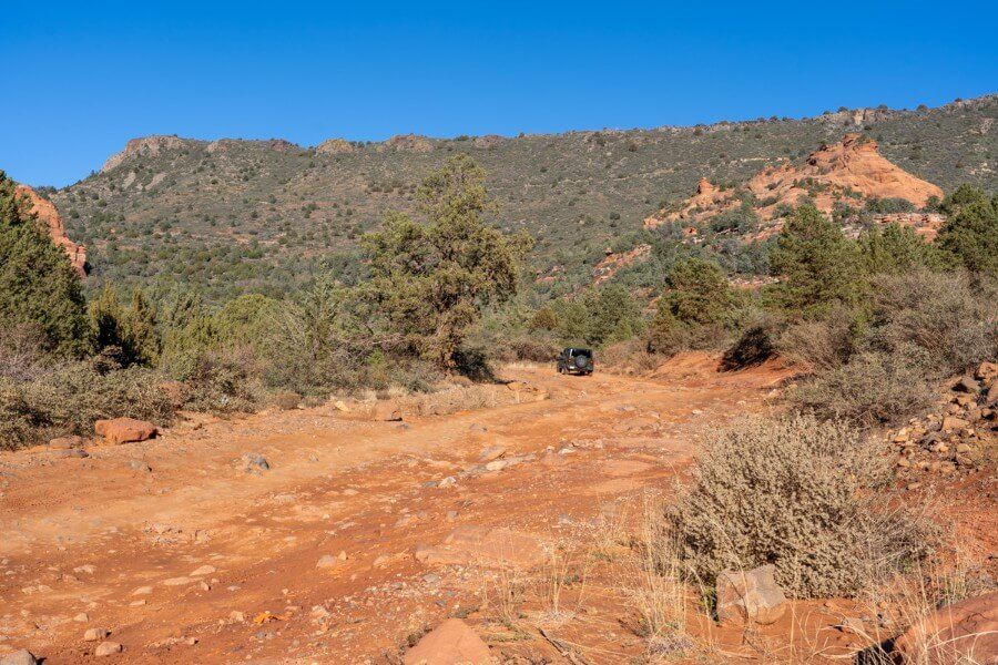 Dirt path with stones passing through desert vegetation and red rocks on a clear day with blue sky