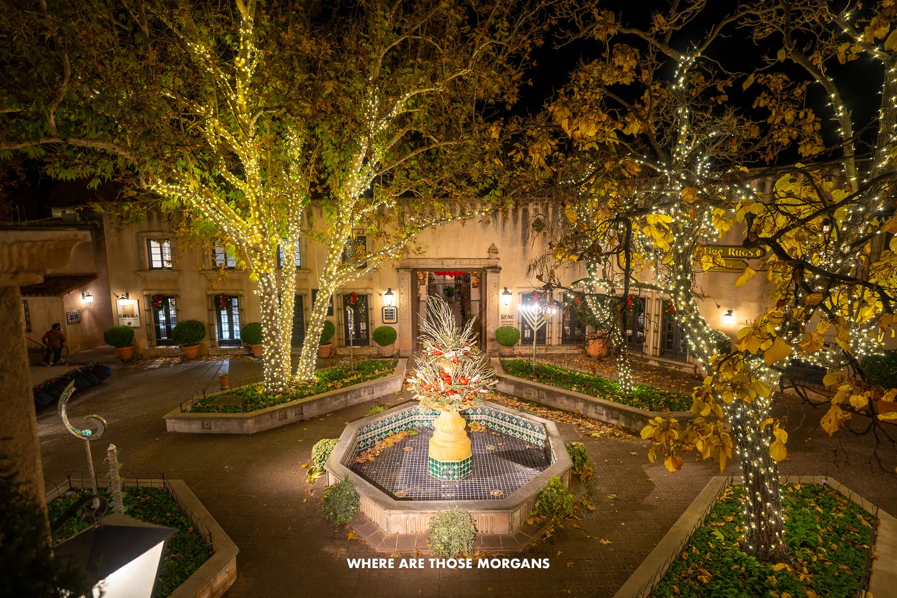 Photo of a courtyard filled with trees decorated with lights at night