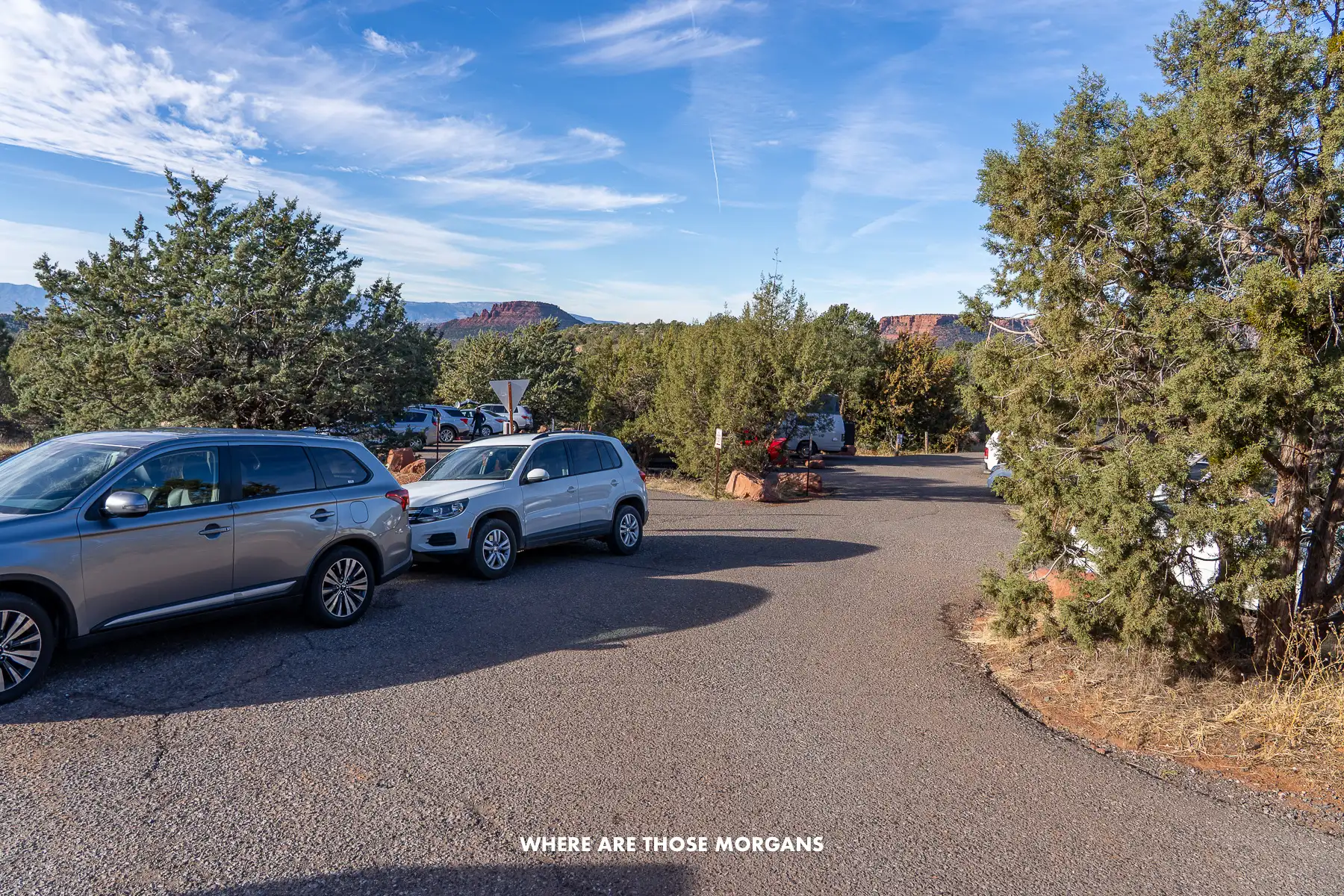 Photo of cars parked in a lot with trees on a sunny day in Arizona