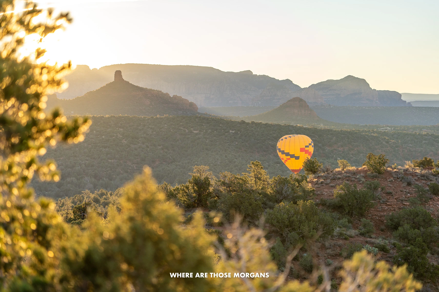 Photo of a yellow hot air balloon rising out of a valley in Arizona with vegetation and red rock formations glowing under sunrise light