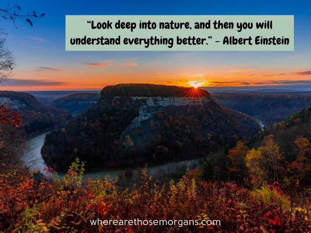 Look deep into nature and then you will understand everything better