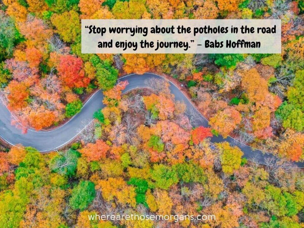 Stop worrying about the potholes in the road and enjoy the journey.