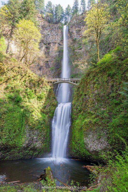 Astoundingly beautiful Multnomah Falls is the highlight of the Columbia River Gorge and home to some of the top waterfall hikes in the US