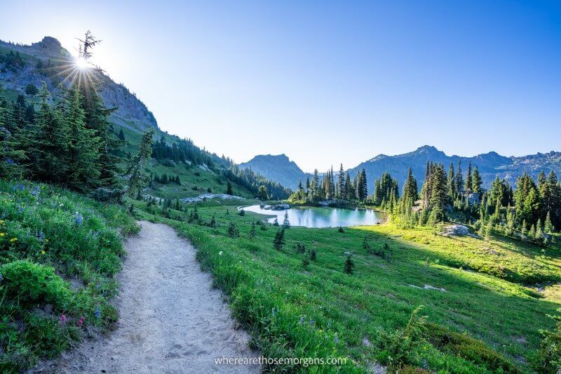 Pacific Crest Trail in Mount Rainier National Park Washington legendary US hiking trails