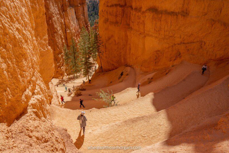 Hikers walking sandy switchbacks into a deep sandstone canyon in Utah