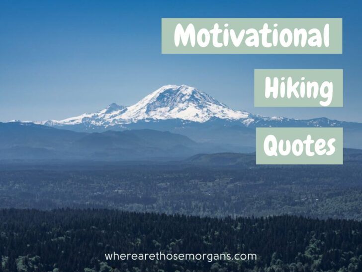 best hiking quotes for instagram captions and outdoor adventures
