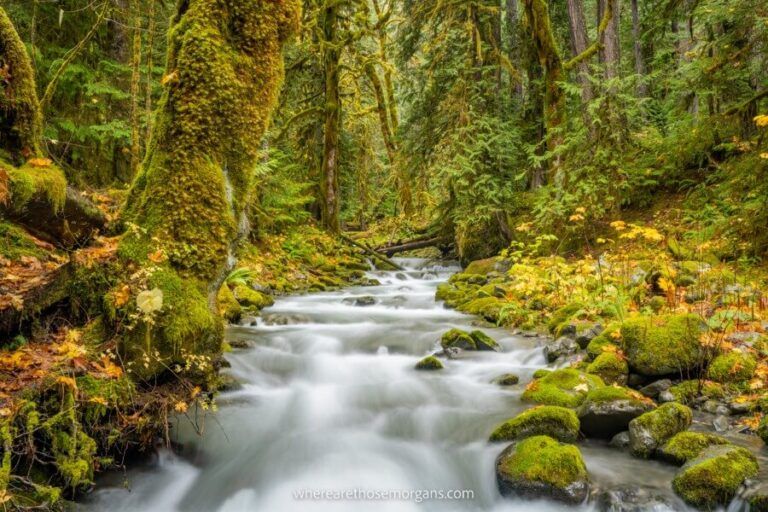 20 Best National Parks In The USA To Visit In 2023