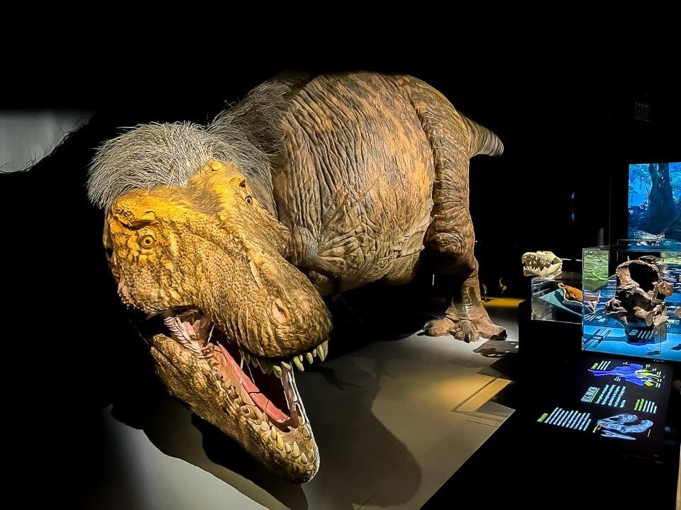 Special exhibit featuring dinosaurs at the American museum of natural history
