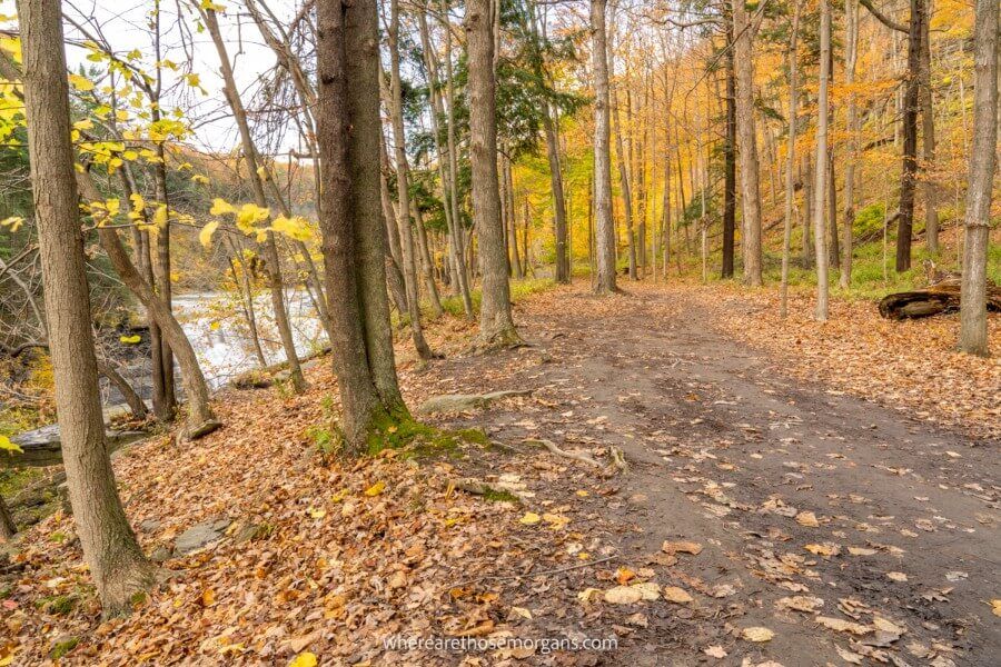 Empty hiking trail with leaves on the ground