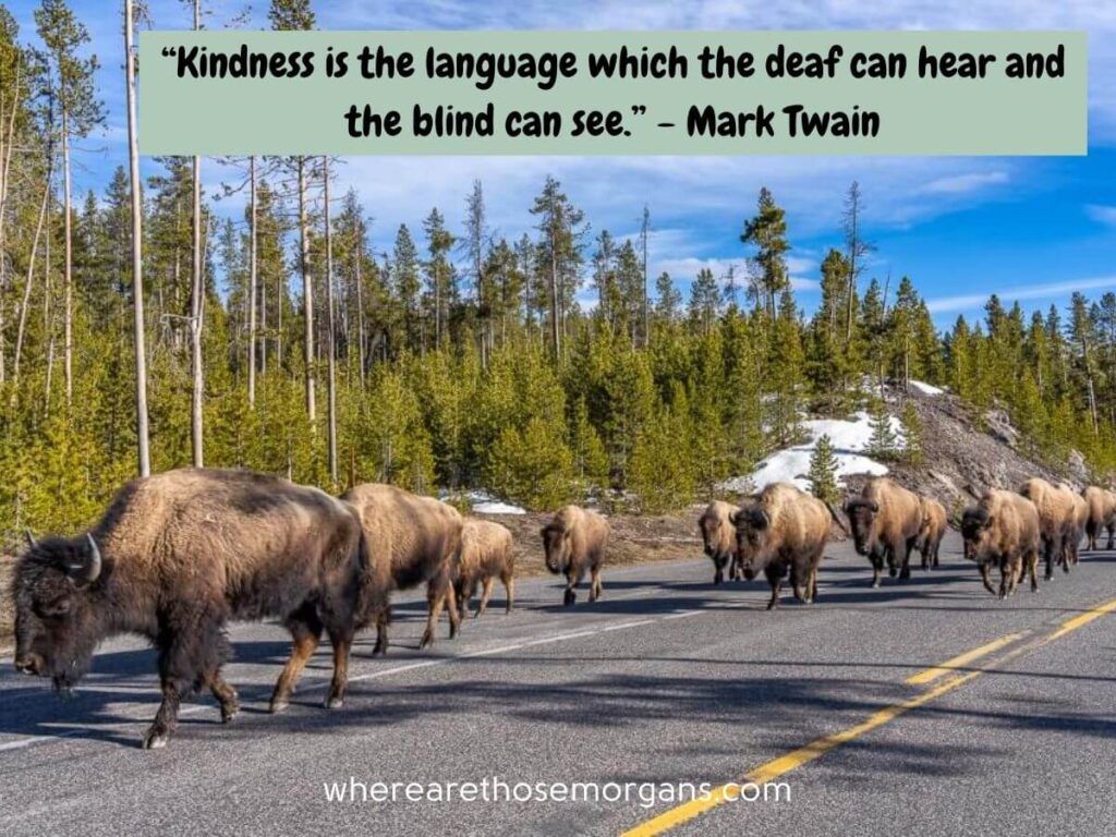 Mark Twain inspirational travel quote