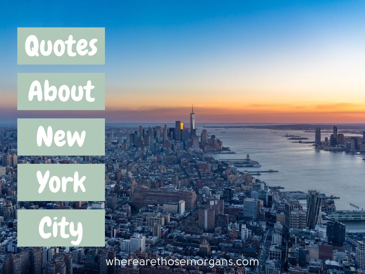 quote: new york looks good on you