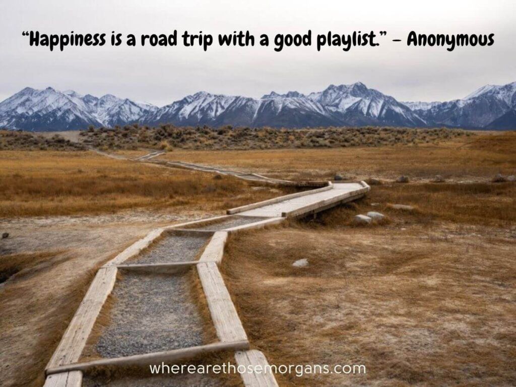 Happiness is a road trip with a good playlist