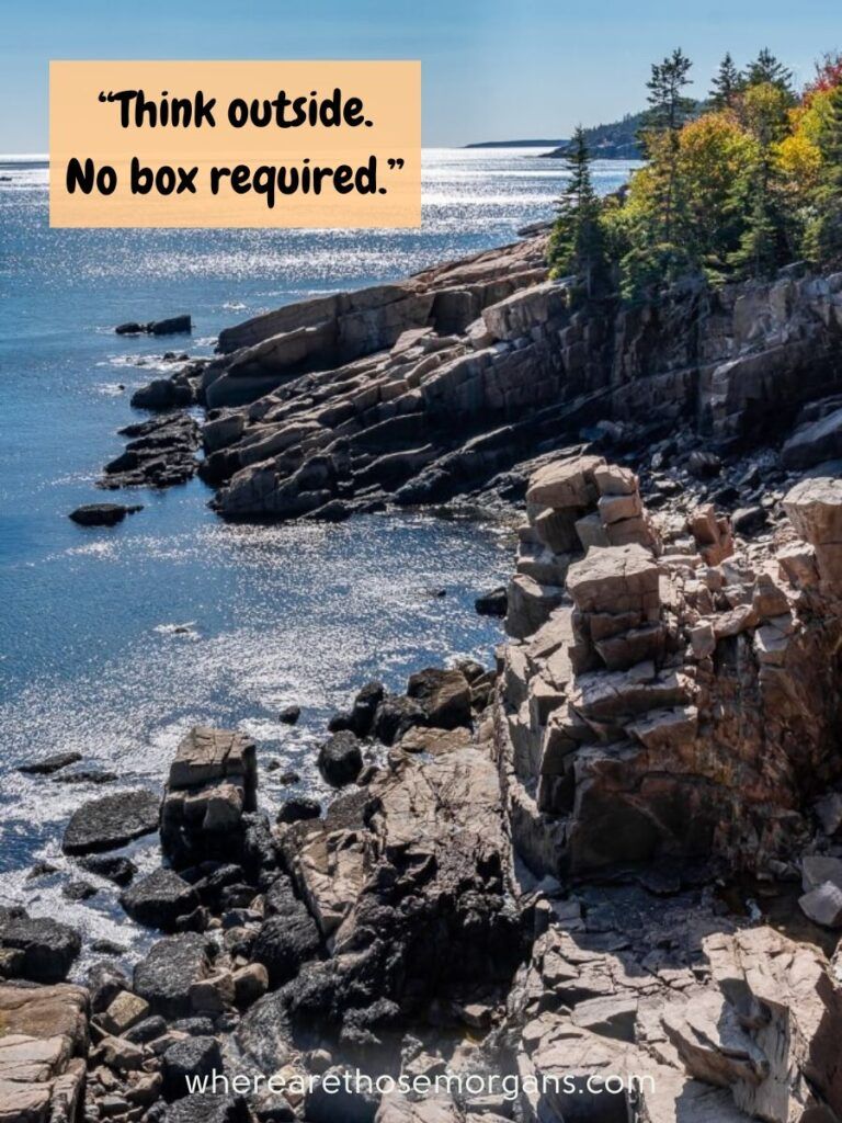 Think outside no box required national Park pun