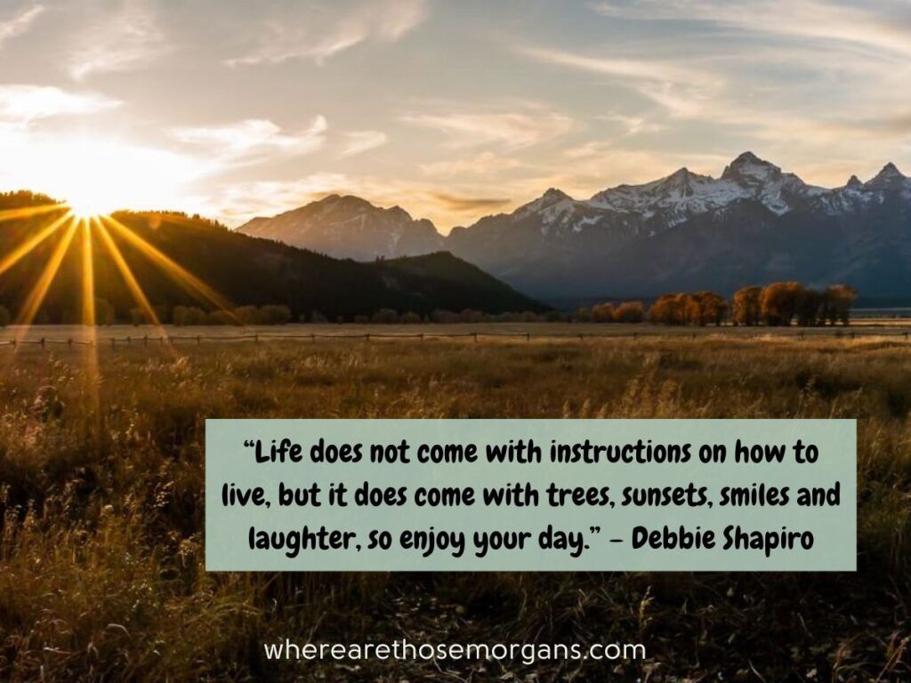 Life does not come with instructions on how to live, but it does come with trees, sunsets, smiles and laughter