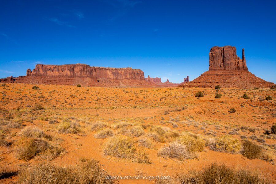 Towering buttes and desert vegetation with blue sky one of the most popular things to do in Arizona