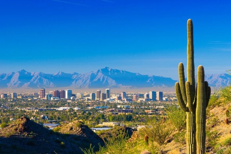 City of Phoenix from afar with mountains and cactus framing one of the most popular places to visit in AZ