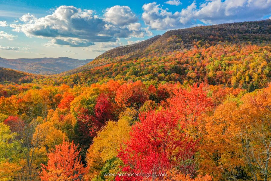 Vermont Green Mountains colorful leaves and blue sky one of the most fun things to do in VT photograph fall foliage