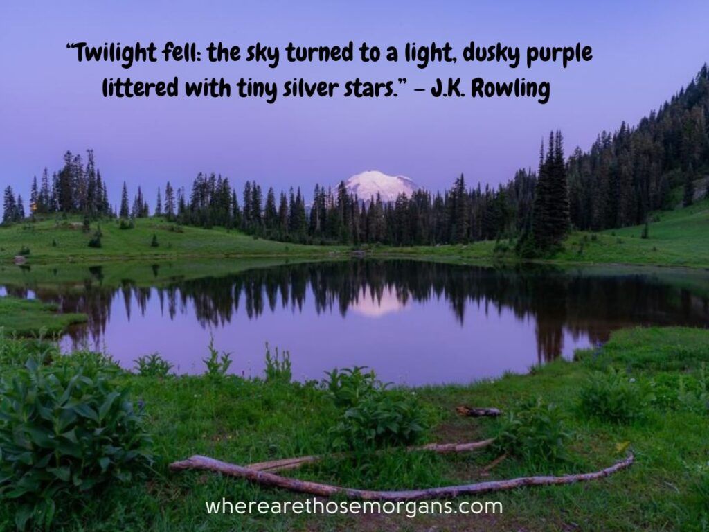 Twilight fell: the sky turned to a light, dusky purple littered with tiny stars