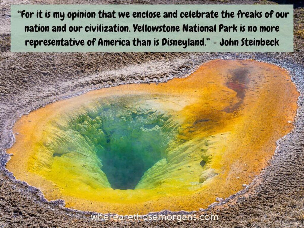 For it is my opinion that we enclose and celebrate the freaks of our nation and our civilization. Yellowstone National Park is no more representative of America than is Disneyland.