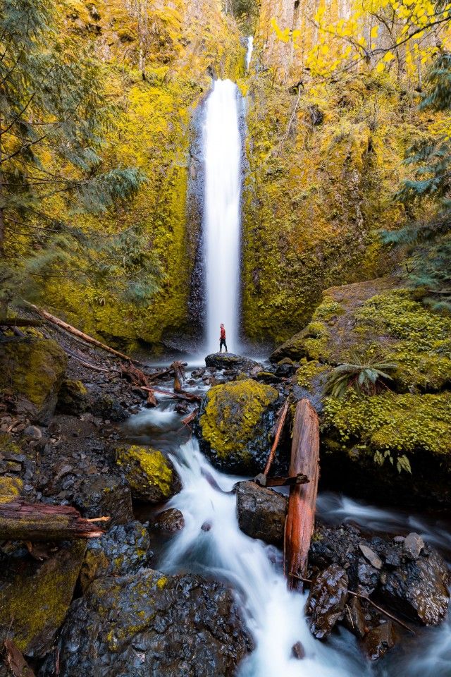 A large waterfall in the PNW with man standing in front