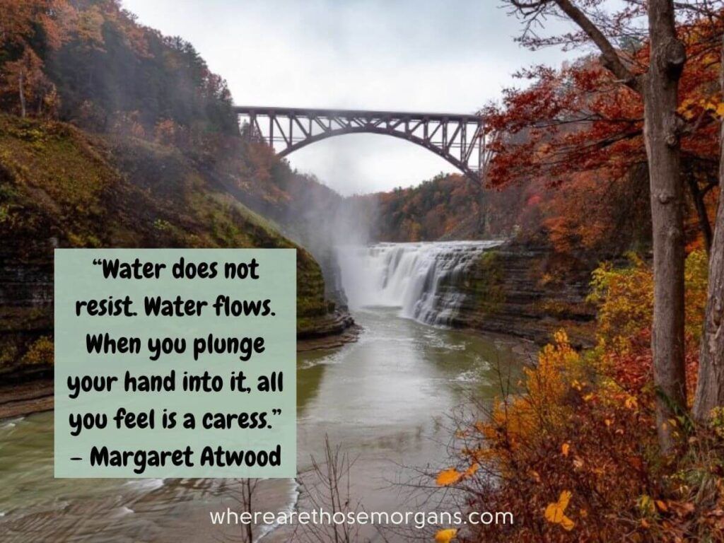 Water does not resists, water flows motivational life quote