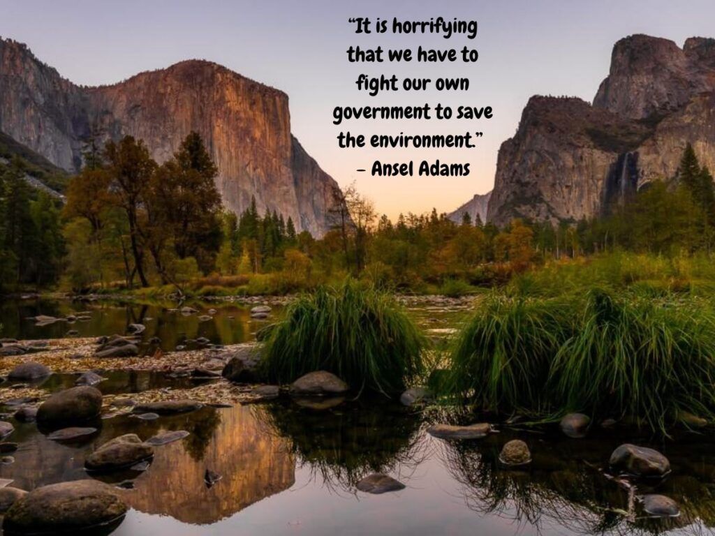 “It is horrifying that we have to fight our own government to save the environment.” – Ansel Adams