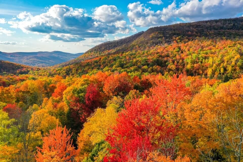 Bright colors of autumn leaves in Vermont