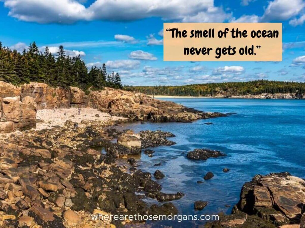 The smell of the ocean beach quote featuring Acadia National Park