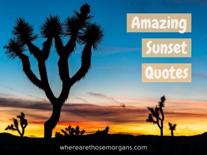 Where Are Those Morgans Sunset Quotes