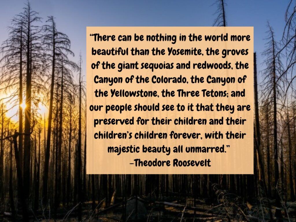 There can be nothing in the world more beautiful than the Yosemite, the groves of the giant sequoias and redwoods, the Canyon of the Colorado, the Canyon of the Yellowstone, the Three Tetons; and our people should see to it that they are preserved for their children and their children’s children forever, with their majestic beauty all unmarred.