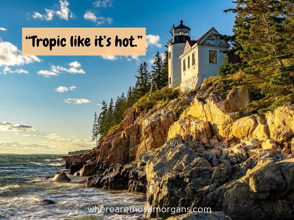Funny beach pun tropic like its hot