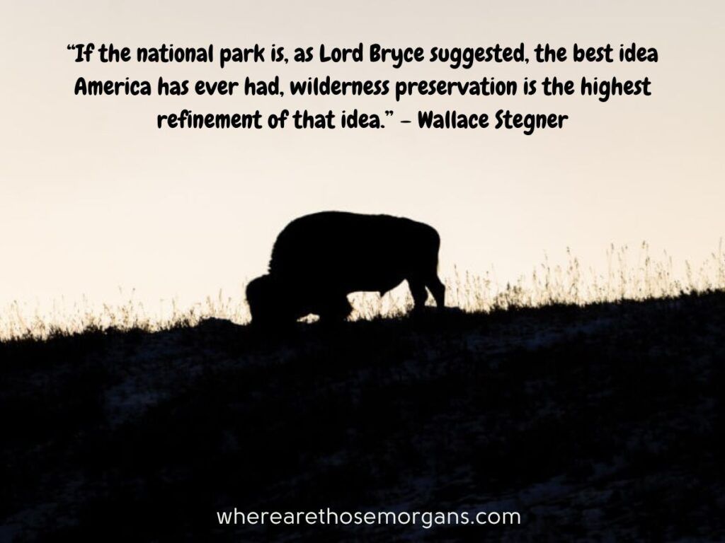 If the national park is, as Lord Bryce suggested, the best idea America has ever had, wilderness preservation is the highest refinement of that idea