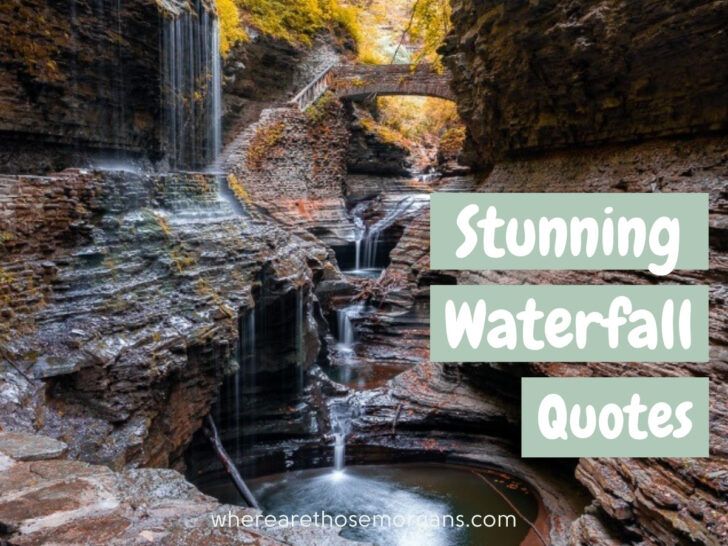 Waterfall Quotes: 71 Motivational Quotes About Waterfalls