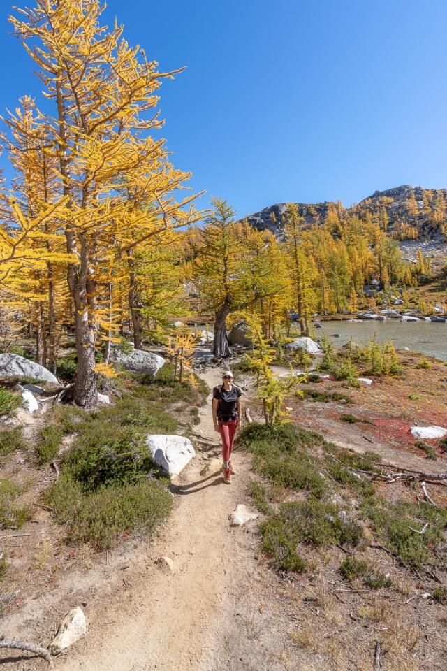 Woman with golden larches hiking the Enchantments in Leavenworth Washington