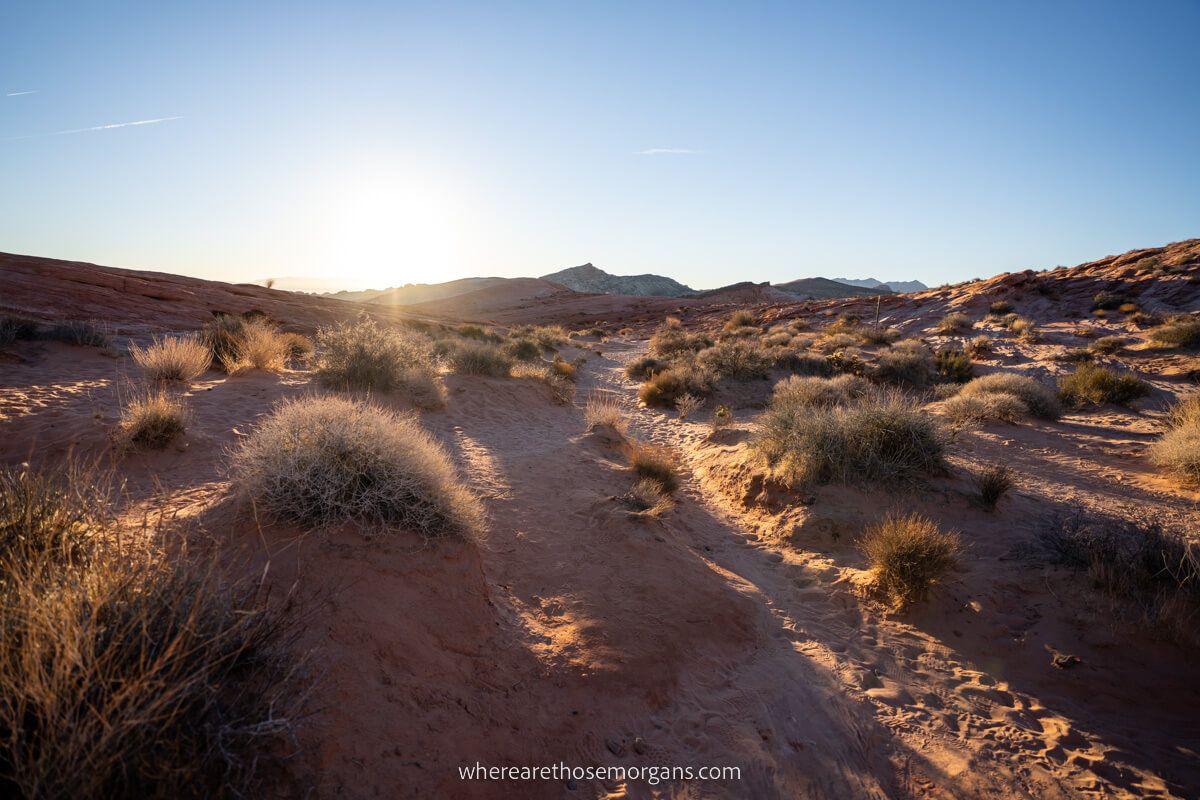 Sandy path with sun and deep shadows