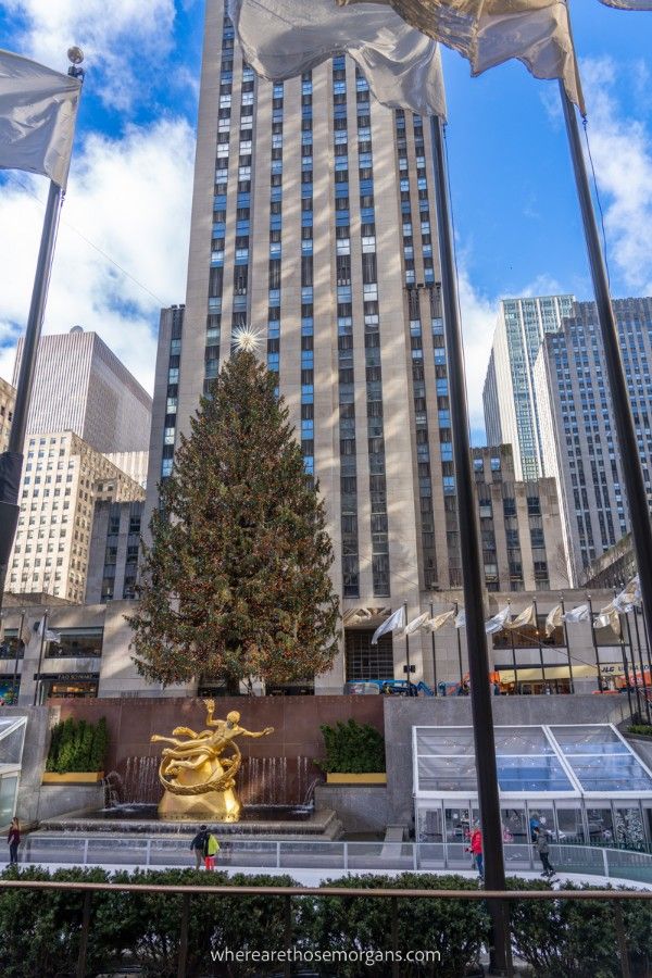 The Rockefeller Christmas Tree and Ice Rink