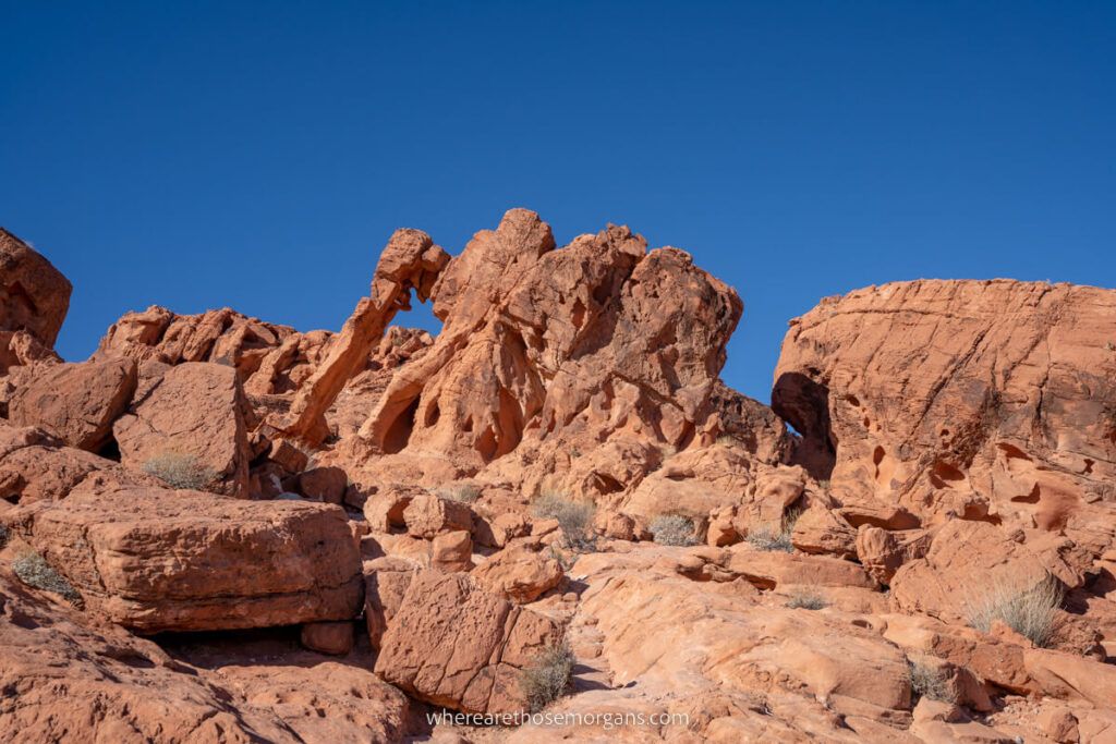 Elephant Rock red sandstone formation from below with bright blue sky